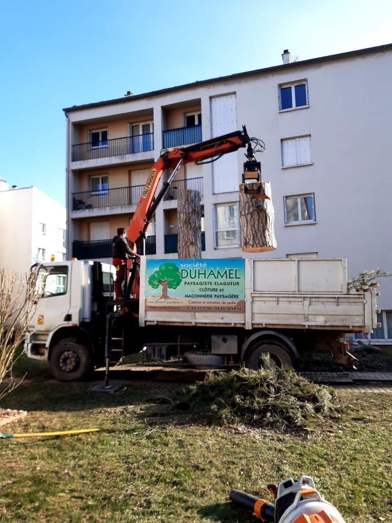 Duhamel Paysagiste / Elagage